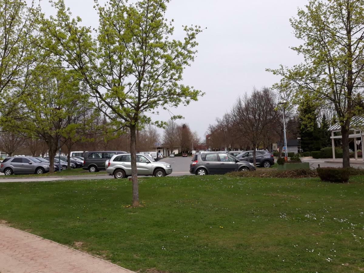 Apartma C-06, C-11 Moravske Toplice Esterno foto
